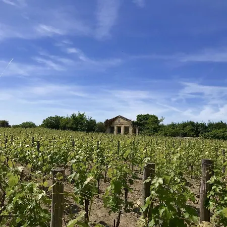 Stone House In A Vineyard With Swimming Pool Monprimblanc