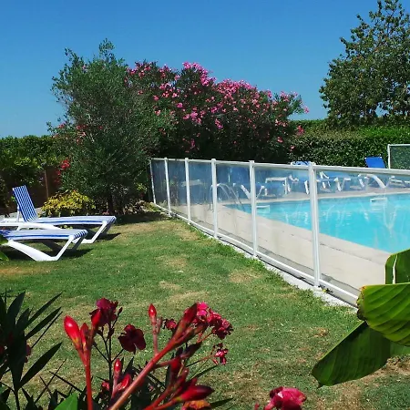 Stone House In A Vineyard With Swimming Pool *