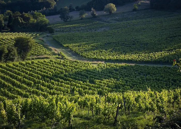 In Aquitaine With Bubble Bath