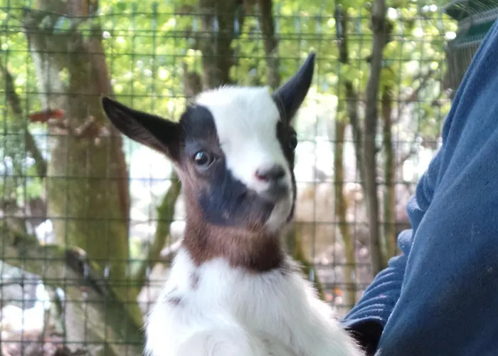 In Aquitaine With Bubble Bath Semesterbostad