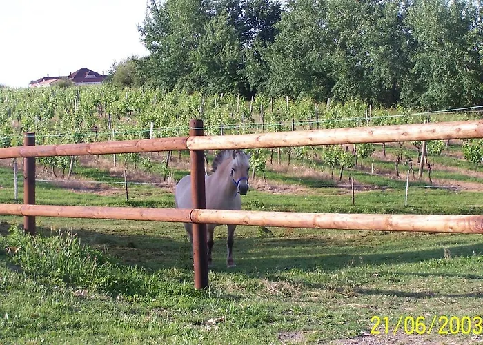 בית נופש In Aquitaine With Bubble Bath