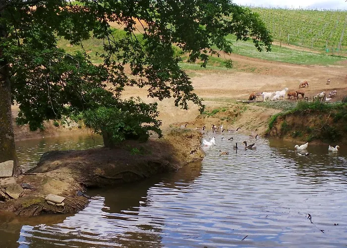 In Aquitaine With Bubble Bath Semesterbostad Monprimblanc