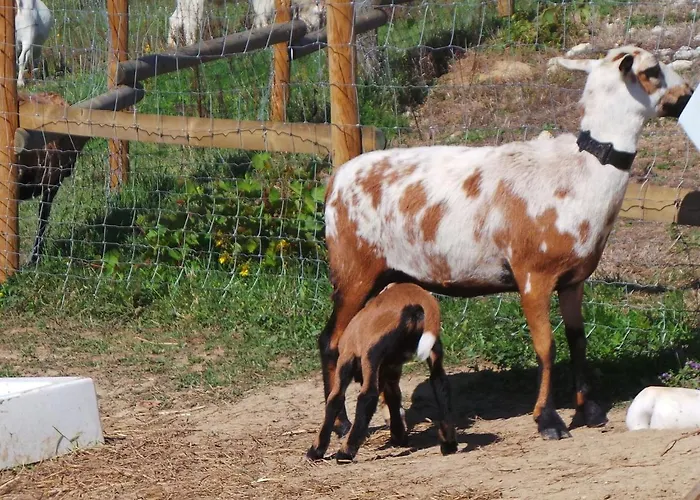 In Aquitaine With Bubble Bath בית נופש