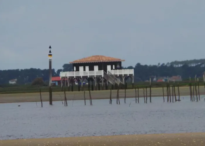 In Aquitaine With Bubble Bath