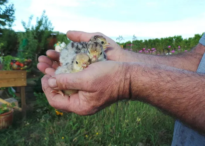 In Aquitaine With Bubble Bath Semesterbostad Monprimblanc