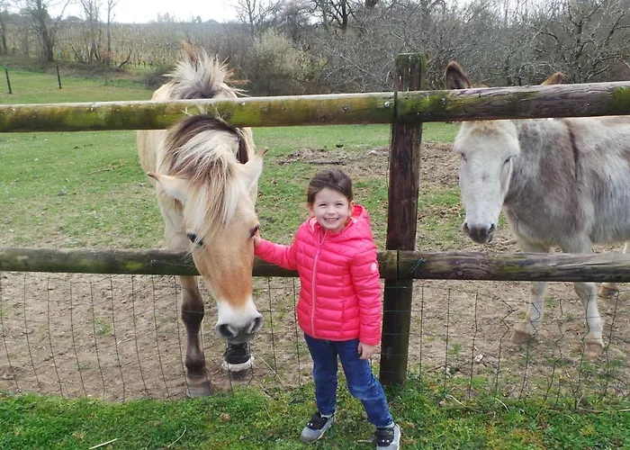 In Aquitaine With Bubble Bath